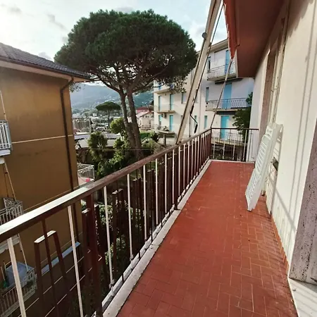 Azalea * Рапалло